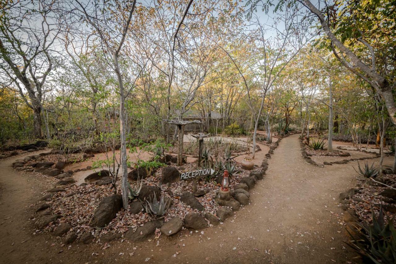 Taita Falcon Lodge Mukuni Εξωτερικό φωτογραφία